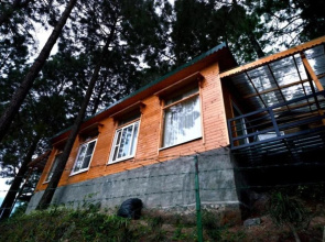 Kasauli Hills Resort