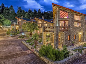 ViP Chalet Livadi Arachova