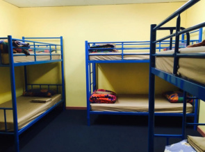 My Place & Adelaide Backpackers Hostel