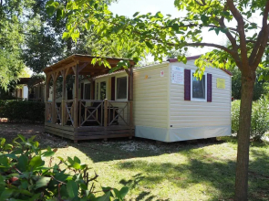 Luxury camping homes