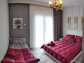Cozy apartments