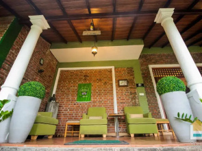 Green Olive Villa