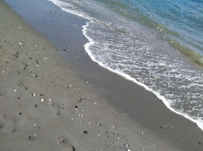 Tropicana Beach & Sun