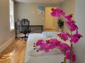 Entire House 1BD King Bed near Downtown