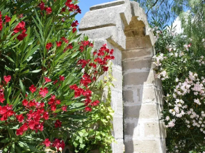 L'Aia di San Giorgio
