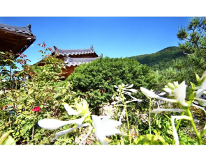 Choongcheong Danyang Gayeondang Hanok Minbak