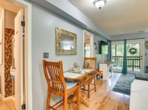 Condo 2 Mi to Silver Dollar City: Relax Fireside!