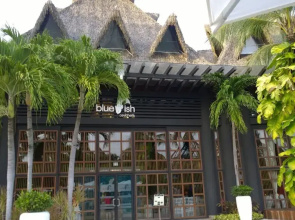2BD Riviera Maya Ocean View w Luxurious Resort