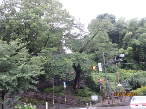 Teramachiya Wind Bell Temple Guest House