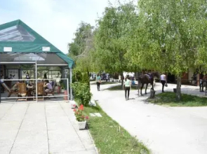 Soskuti Lovas Elmenypark Es Panzio
