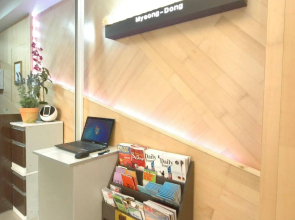 Vestin Villa Myeong-dong Guest House