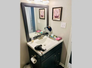 New TEXAS House 3 Bed in Woodlands