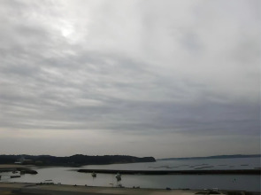 Amigen