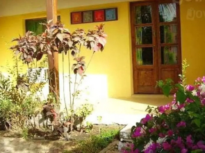 Les Bougainvilliers