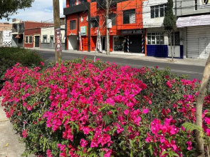 Hotel Posada Jardin Aguascalientes