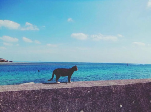 Umi No Ie Akebonoso