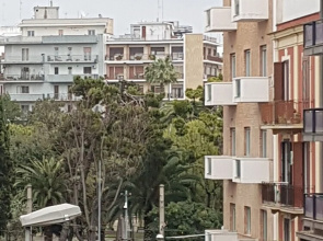 My Home