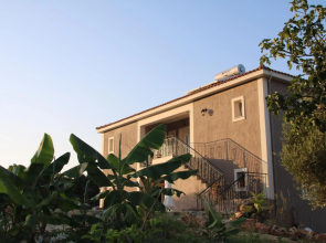 Nikoleta's Studios