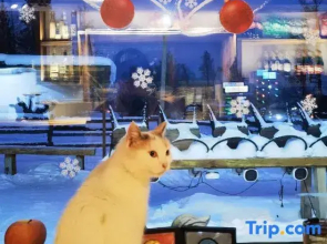 Shenshanli Yichuan VILLA Holiday Homestay (Kanas Old Village)