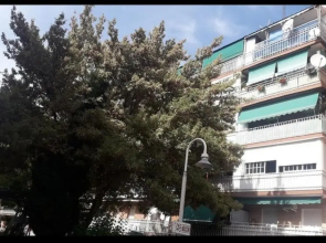 La Torreta, Coslada-Central, aeropuerto