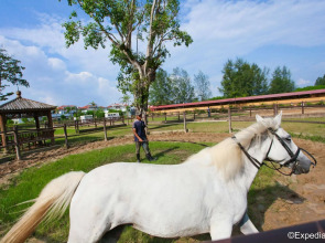 Punggol Ranch Resort