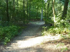 Ferienwohnung am steilen Waldweg