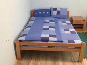 Atomska banja Gornja Trepca hostel Grof