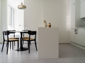 Spacious 2 br apartment in city center