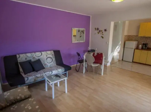 Apartments Lara Borik