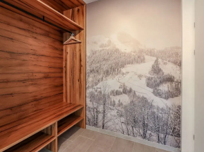 Modern Apartment in Kirchberg in Tirol Near Ski Area