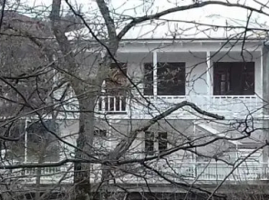 House In The Nature