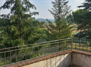 La Tana Del Lupo