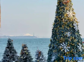 Anaya INS·Popular Auditorium Seaview Holiday Residence