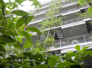 Palo Santo Hotel
