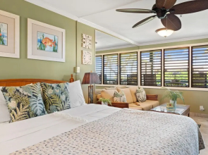 Napili Bay 210 in Lahaina