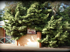 York Motel