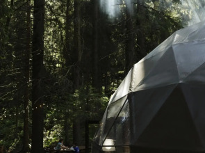 Вили Улей Карелия