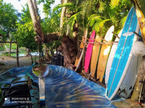 Room In Lodge - Method Living Tropical Edition