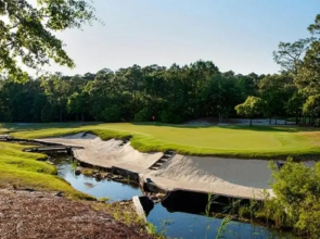 Pawley's True Blue