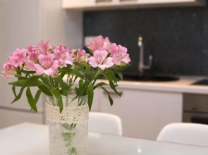 Studio Apartment with garden