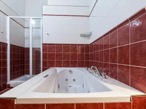 Hotel U Zlateho Jelena