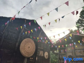 Shizhulinyoujubishushanzhuang