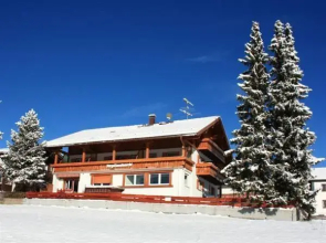 Garni Vergissmeinnicht