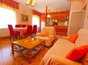Apartment Branko 1142