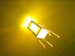 I Remi del Prione by Le 5 Terre