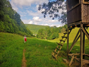 Ferienwohnung im Haus Lotus mit großem Balkon und Garten