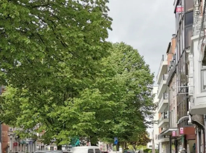 Le Studio de l'Avenue