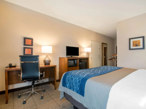 Comfort Inn Concord South End