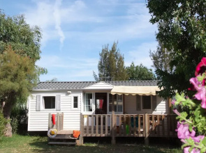 Camping Tikayan Les Palmiers