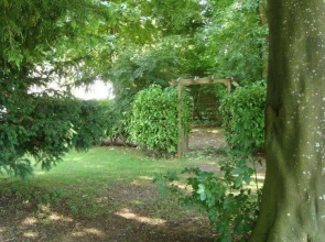 The Apple Wood